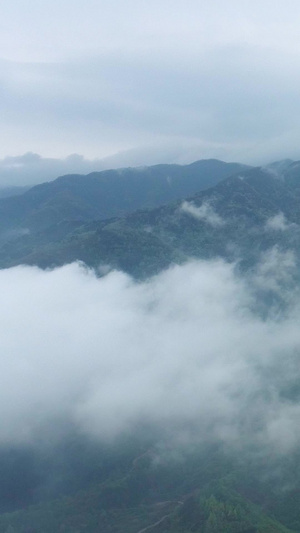 商洛北阳山雨后云海航拍47秒视频