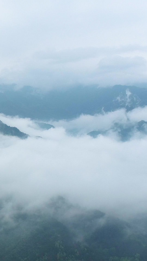 商洛北阳山雨后云海航拍47秒视频