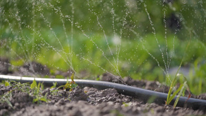 水管浇水农业灌溉自动喷淋慢动作视频20秒视频