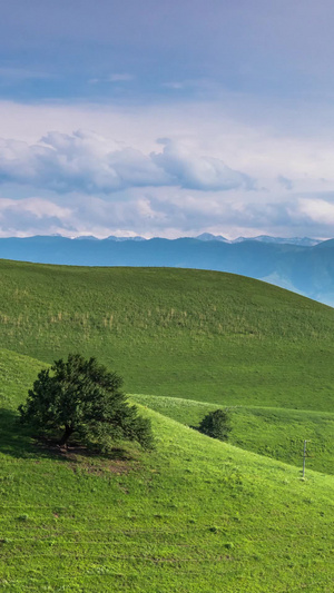 5A新疆北疆夏季延绵起伏的绿色草原延时视频那拉提草原16秒视频