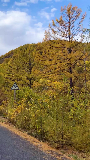 秋天内蒙古公路迷人的秋景实拍视频内蒙古旅游32秒视频