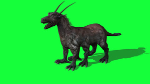 3D 制作幻想野兽动画绿屏23秒视频