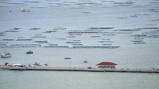 海洋中的牡蛎和贝贝农场使用可回收塑料桶制造浮标视频