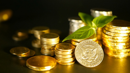 黑色背景上的金币和新芽绿叶金融业务抵押和银行业务概念视频