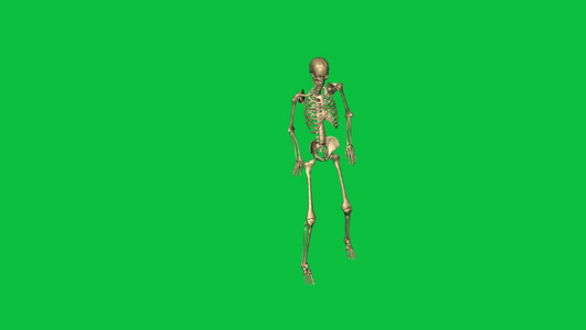 3d骨骼绿幕视频