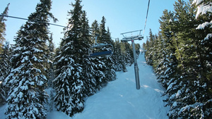 雪地上雪林和滑雪机18秒视频