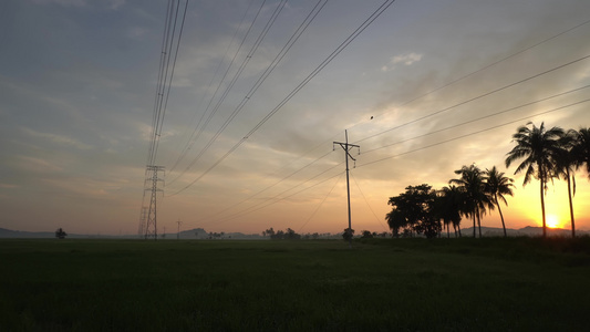 横跨稻田椰子农场在电塔之上视频