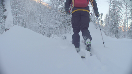 在西比利亚滑雪男子腿在雪地森林滑雪视频