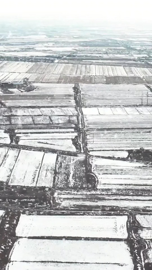 雪中航拍冬季乡村农田鸟瞰图28秒视频
