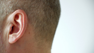 男性左耳剖面视图人体听力器官人体身体部分头部解剖术15秒视频