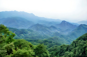 四川青城山4秒视频