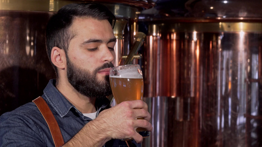 英俊的长胡子酿酒师享受美味手工艺啤酒的味道和味道视频