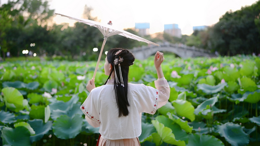 4K古装汉服少女与荷花视频