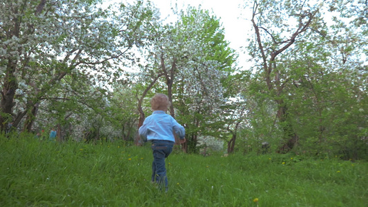 男孩在花园中行走视频