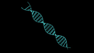 dna数字结构科学生物技术动画3d旋转20秒视频