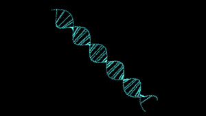 dna数字特殊结构科学生物技术动画3d在黑屏上旋转20秒视频