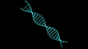 dna数字结构科学生物技术动画3d在黑屏上旋转20秒视频