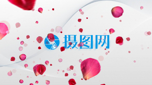 视频片头唯美的玫瑰花瓣logo展示视频