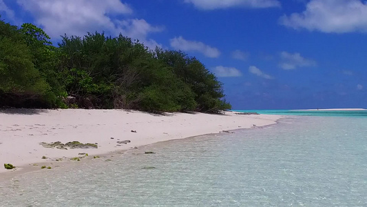 以棕榈附近白沙背景的蓝水为例紧闭海滨野生生物的海景视频