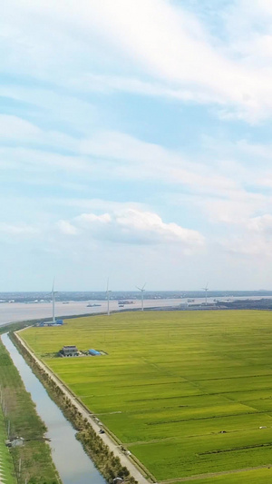 海边风力发电风车清洁能源30秒视频