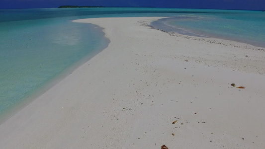 棕榈附近浅海和白沙底浅海的豪华旅游海滩野生生物视频