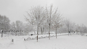 科伊夫的奥博隆斯卡纳贝列日那行走道被雪覆盖着10秒视频