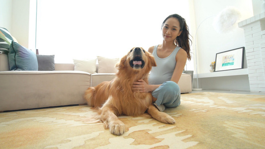 孕妇开心的摸金毛犬视频