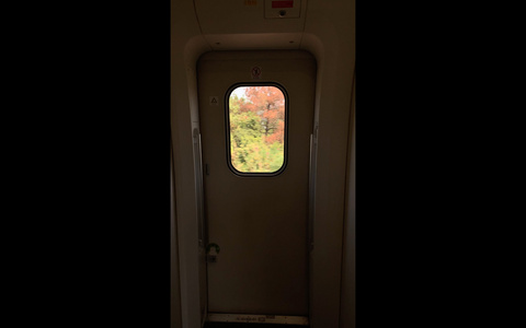 火车窗外风景4K竖版视频视频