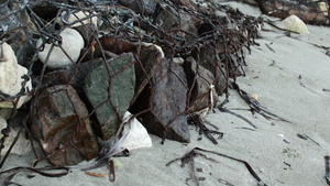 海岸上被铁丝钉住的石头21秒视频