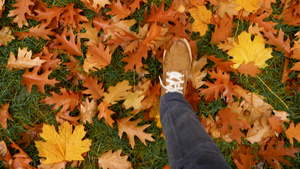 男性脚在鞋子地面上覆盖着落黄的叶子27秒视频