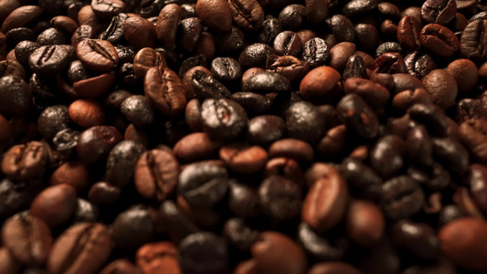 咖啡种子顶部视图视频