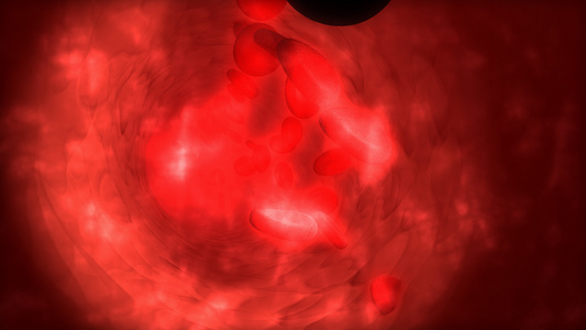 医学动画人类血细胞视频