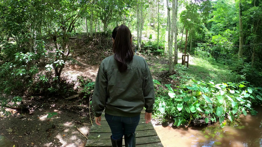 妇女在森林中的木桥上行走视频