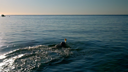 漂浮在海上的海边游到海里的人视频