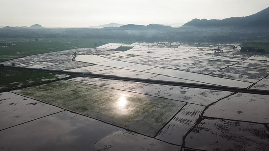 BukitMertajam的收获季节后稻田视频