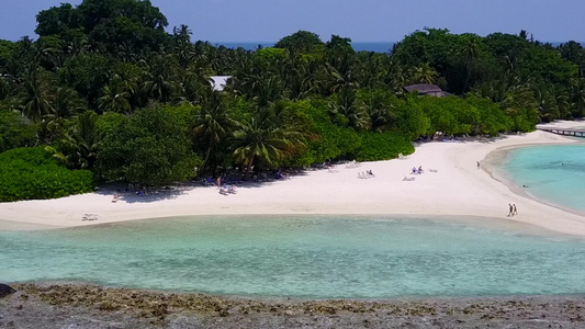 以清晰的海洋和白色沙沙背景绘制完美旅游海滩野生生物视频