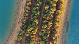 秋季森林道路风景27秒视频