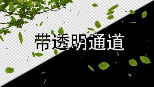 4k树叶飘落透明通道视频