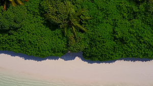 海边茂密的森林植被和沙滩航拍15秒视频