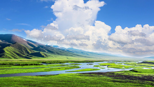 美丽草原的夏季风景10秒视频