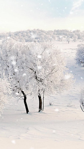 冬季雪景视频素材雪花背景视频