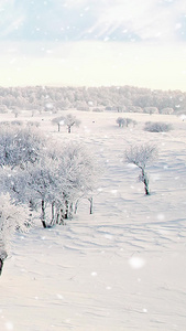 冬季雪景视频素材雪花背景视频