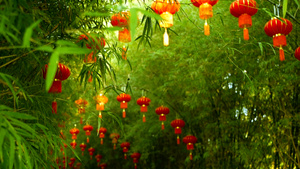 传统式的红灯笼挂在竹树形成的拱门上20秒视频