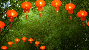 传统式的红灯笼挂在竹树形成的隧道拱门上19秒视频