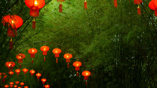 传统式的红灯笼挂在竹树隧道拱门上上面有几条长成视频