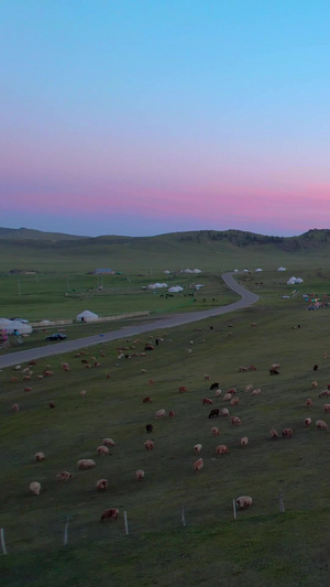 航拍日落下阿勒泰那仁大草原与牧归羊群视频大自然46秒视频