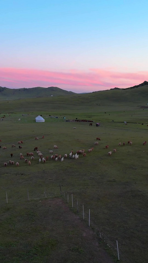 航拍日落下阿勒泰那仁大草原与牧归羊群视频自然风光46秒视频