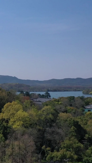 【旅游宣传片浙江杭州西湖雷峰塔杭州雷峰塔景区109秒视频