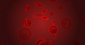 通过循环系统流动的红细胞血红细胞20秒视频