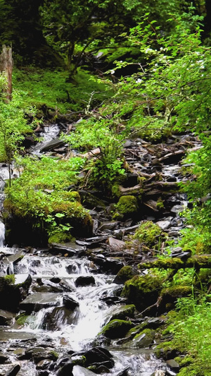 森林山间瀑布清凉流水高山流水21秒视频